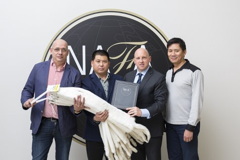 Image: Unicorn White Male Mink Top Lot at NAFA Auction